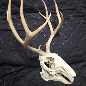 Jennifer added a photo of their purchase