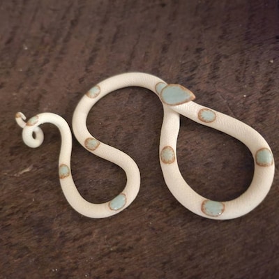 Carter & Rose Selma Ceramic Snake with out Plant main image 1