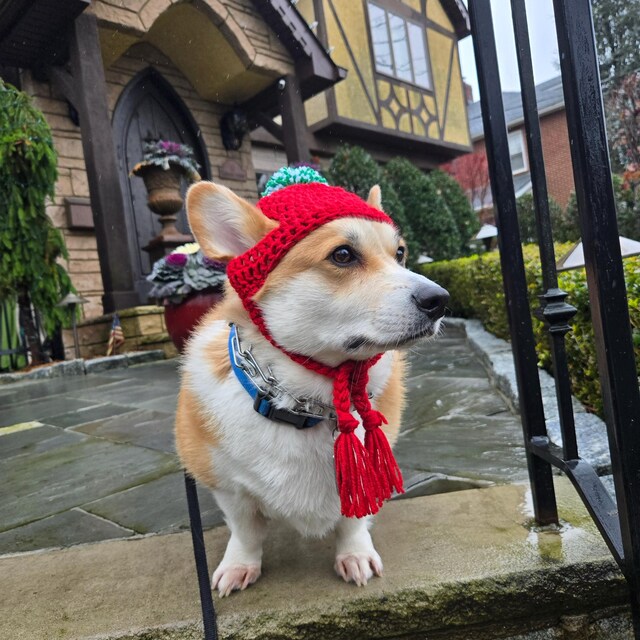 【1点物】corgi-corgi タッセル付き帽子  コスプレ 1点物】corgi-corgi タッセル付き帽子 コスプレ
