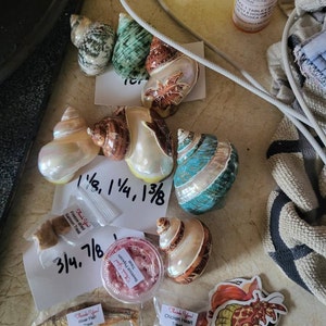 Jamie added a photo of their purchase