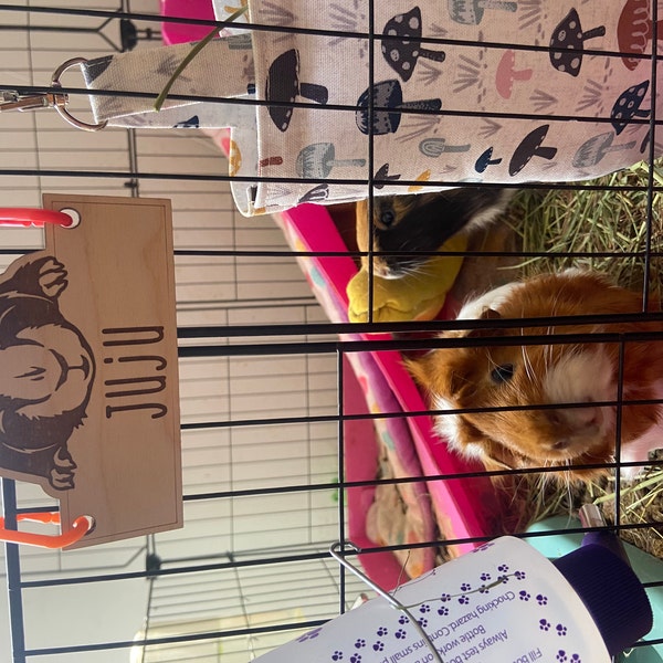 Personalized Guinea Pig Cage Tag, Custom Engraved Wood Name Sign, Cavy ...