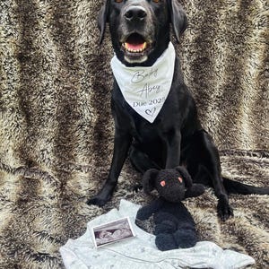 Tilly added a photo of their purchase