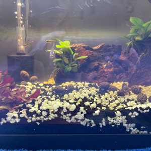 bridget added a photo of their purchase