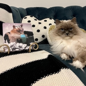 Deborah ha aggiunto una foto del proprio acquisto