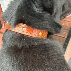 John added a photo of their purchase