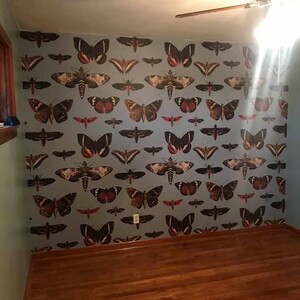 Jean added a photo of their purchase