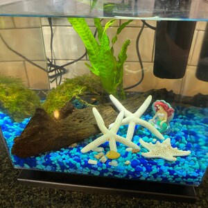 thumbnail image 2 of Malaysian Driftwood For Aquascaping – Buy 2 Get 1 Free! Natural Aquarium Wood 2 of 2