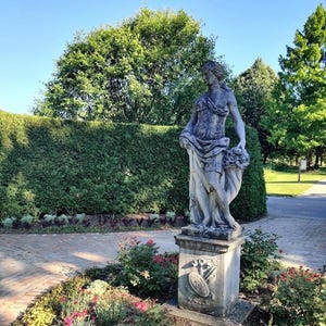 Kalani ha añadido una foto de su compra