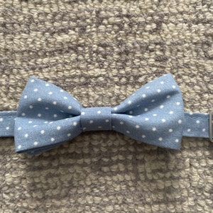cobalt blue bow tie and suspenders