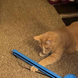 Beth heeft een foto van de aankoop toegevoegd