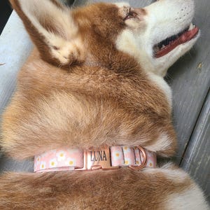 Amanda hat ein Foto des gekauften Artikels hinzugefügt
