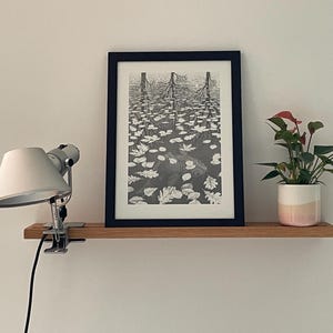 Helen added a photo of their purchase