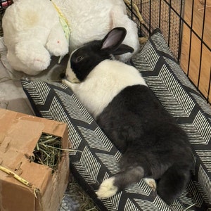 Jennifer added a photo of their purchase