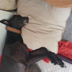 Millie added a photo of their purchase