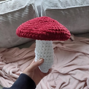 hannah adicionaram uma foto da sua compra