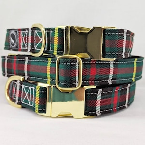 Newfoundland Tartan Green Plaid Men's Shorts
