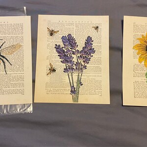 Laura added a photo of their purchase