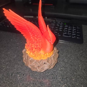 Dorothy added a photo of their purchase