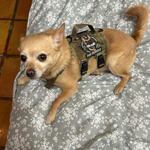 Remy added a photo of their purchase