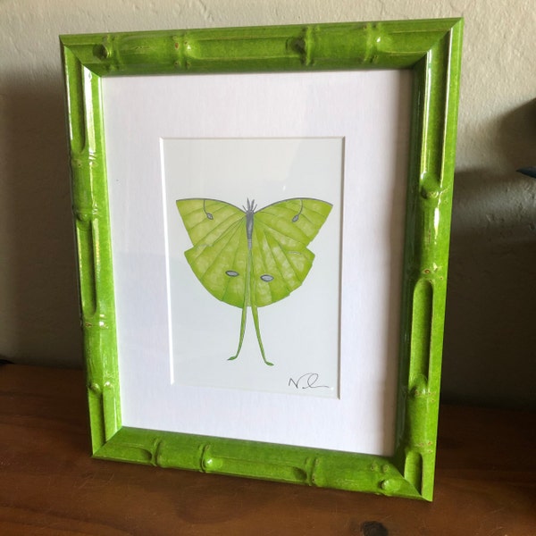 Green Bamboo Picture Frame Enamel Finish, 3x5, 4x6, 5x7, 8x10, 11x14 ...