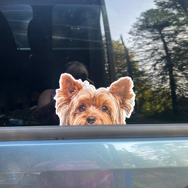 Adesivo Riflettente Per Auto Yorkshire Terrier 25 Cm - 3D Impermeabile - Decorazione Personalizzata Per Auto, PC, Valigie - 2