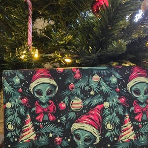 Fallon added a photo of their purchase