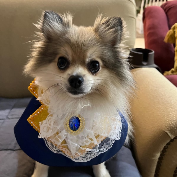 BIG DOG - Doggy Party Dress Lilac main image 0
