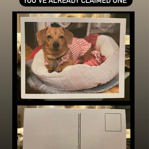 melanie added a photo of their purchase