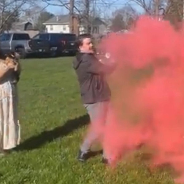 Exploding Volleyballs Powder Filled Volleyball Gender Reveal | Exploding Color - Etsy