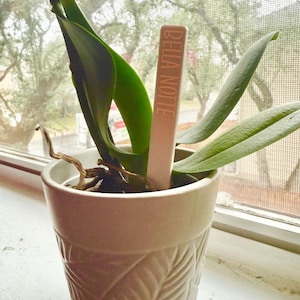 Rebecca added a photo of their purchase