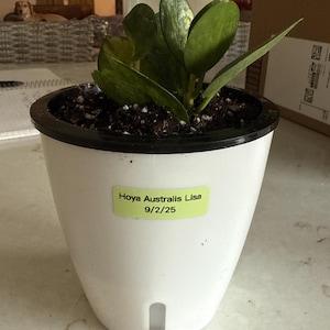 Angela added a photo of their purchase
