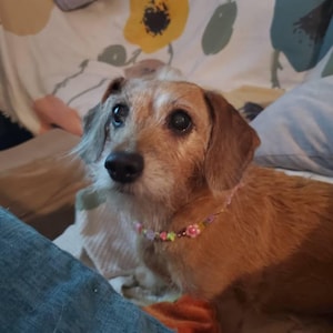 MARLYS added a photo of their purchase