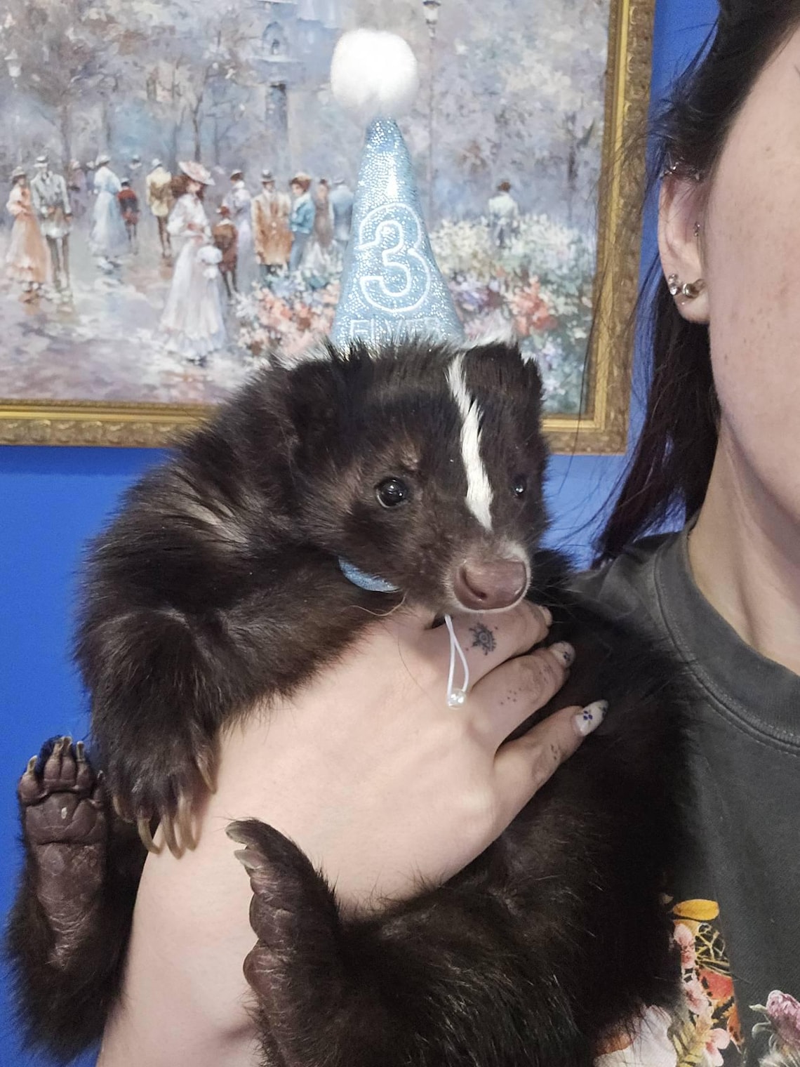 Customer photo of a pet with the First Birthday hat and matching tie or bow