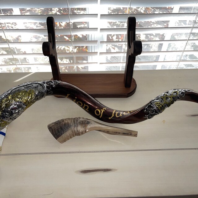 Shofars Etsy
