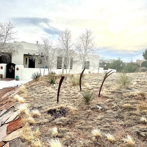 brinda adicionaram uma foto da sua compra