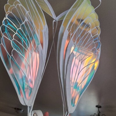 Rainbow Fairy Dress & Wings