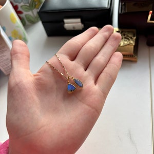 Lucy added a photo of their purchase