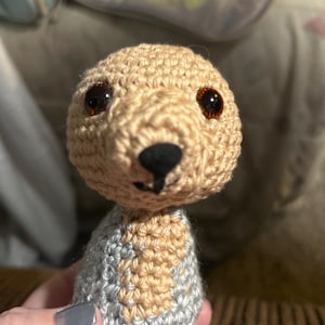 Sadie added a photo of their purchase