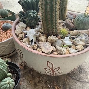 Jason added a photo of their purchase