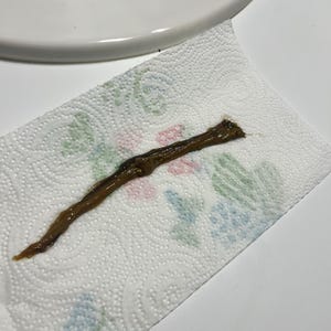 Family added a photo of their purchase