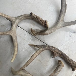 Tim ha añadido una foto de su compra