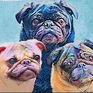 Delco added a photo of their purchase