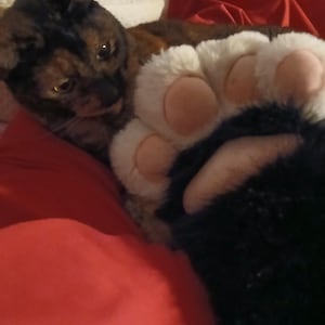 Veronica added a photo of their purchase