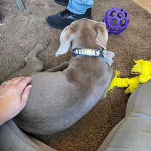 Jenny added a photo of their purchase