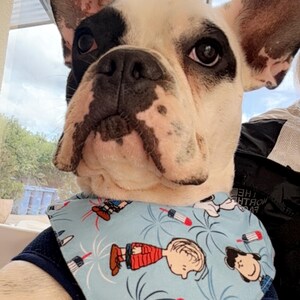 Home adicionaram uma foto da sua compra