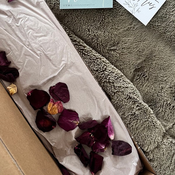 Shower Eucalyptus Bundle - Fresh Cut Eucalyptus - Etsy