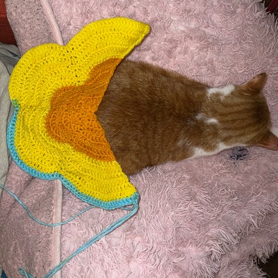 on butterfly wings crochet shawl