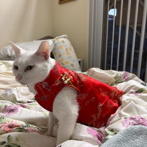 Cheongsam / Qipao Dress for Cats PDF Digital Sewing Pattern ...