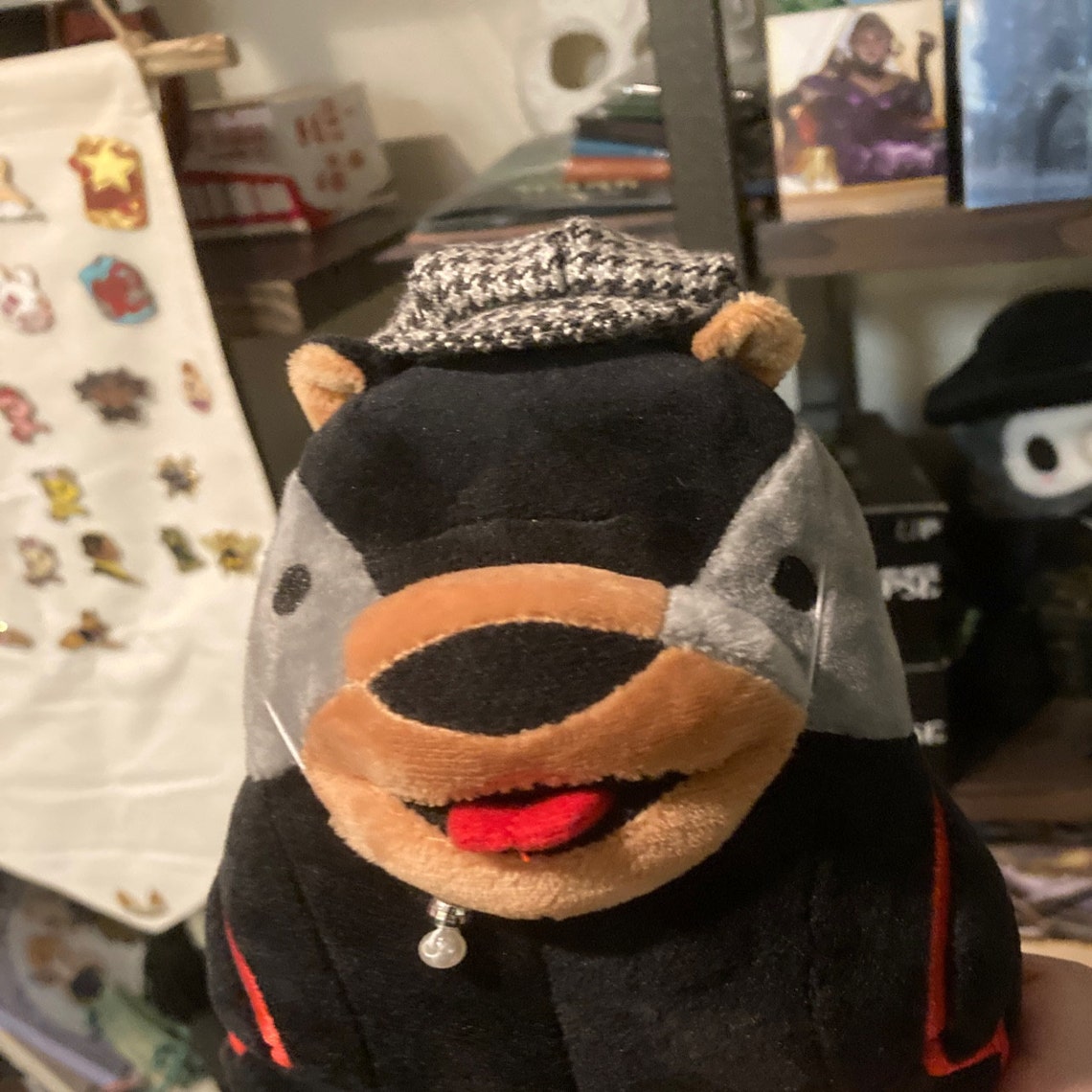 Customer photo of a pet with the Newspaper Boy Hat  for small pet Hedgehog Vogue