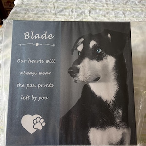 Lori added a photo of their purchase